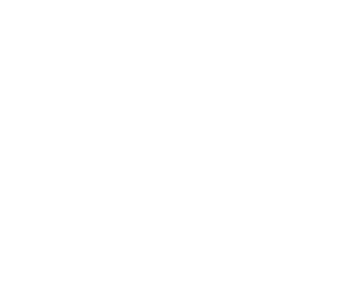 S2 Inspections